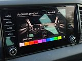 Škoda Karoq 2.0TDI 110kW DSG 4x4 Sportline - náhled 17