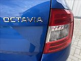 Škoda Octavia 1,6 TDI 81kW 2.maj původ ČR - náhled 16