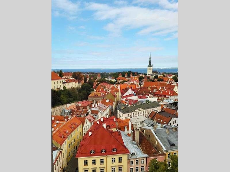 Palác obklopují zahrady ve francouzském stylu. 