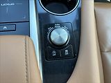Lexus RX 2,0 i 175kW AT 4x4 Limited edi - náhled 31