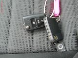 Škoda Octavia (2014) 2.0TDi, ČR, DSG, bixen, navi - náhled 18