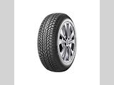 Giti GitiWinter W1
