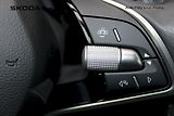 Škoda Karoq (2024) 2,0 TDI 110kW Top Selection - náhled 12