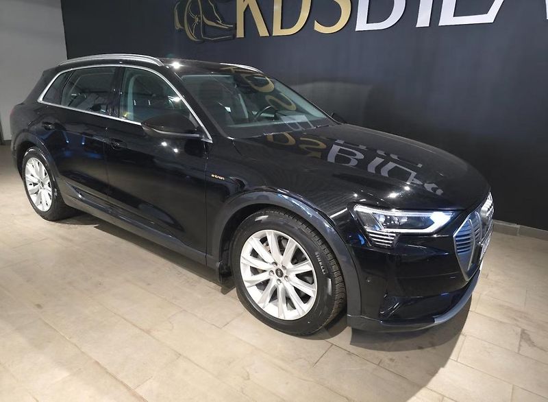 Audi e-tron 55 Quattro Kamera Vzduch LED - fotka 6 z 13