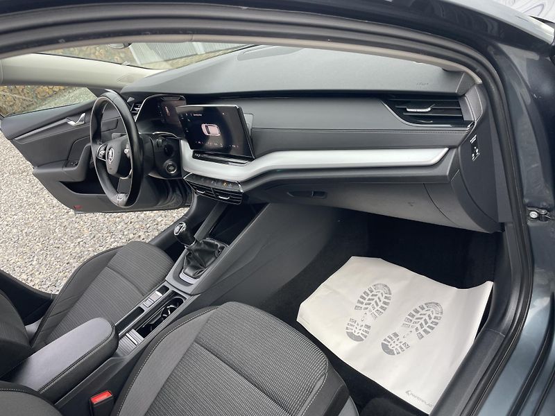 Škoda Octavia 2.0TDi 115PS LED VIRT NAVI DPH - fotka 146 z 189