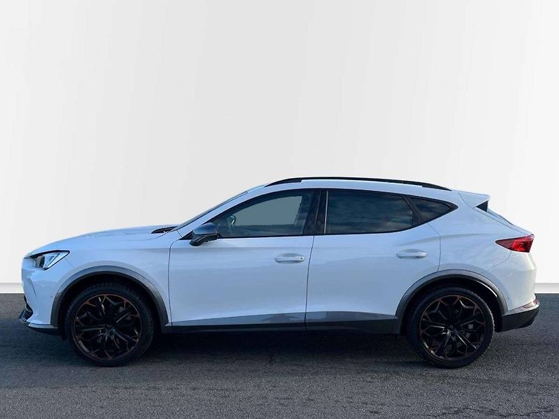 Cupra Formentor (2024) VZ 2.0 TSI DSG - fotka 18 z 20