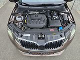 Škoda Octavia 2.0TSi 140kW DSG L&K 4x4 KŮŽE - náhled 38