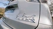 Koncept Nissan X-Trail 4Dogs.