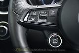 Alfa Romeo Giulia 2.0T 16V 206kW VELOCE AT8 Q4 - náhled 28