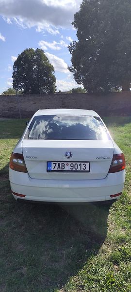 Škoda Octavia (2018) - fotka 7 z 17