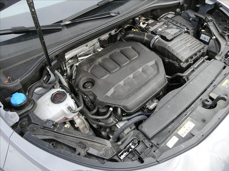 Cupra Terramar 2,0 VZ 2.0 TSi 195kW DSG 4WD - fotka 43 z 45