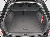 Škoda Octavia (2015) Style 2.0 TDI, 4X4, Xenony - náhled 14