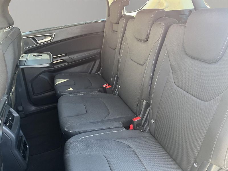 Ford S-MAX (2020) 2.0 140kw, 4x4, ČR, tažné, for - fotka 13 z 27