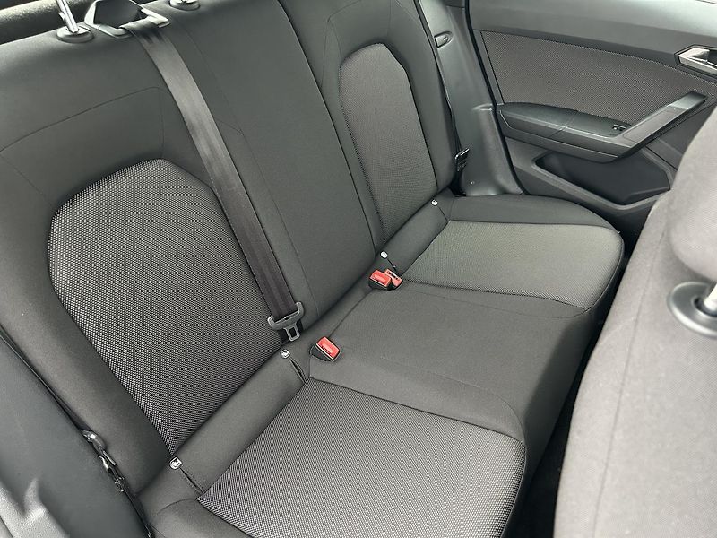 Seat Arona 1.0 TGI Xcellence - fotka 13 z 29