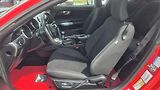 Ford Mustang 2.3T  50 Years Edition 233kw - náhled 13