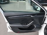 Škoda Octavia 2,0 TDi,110kW,1majČR,Serv.,DPH - náhled 20