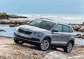 Škoda Karoq ve stáří 3-5 let