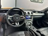 Ford Mustang 5,0 V8 331kW - CZ - AUTOMAT - náhled 16