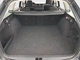 Škoda Octavia (2017) 1.4 TSI CNG, Tempomat - náhled 13
