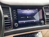 Škoda Kodiaq (2017) 2.0 TDI 4x4 DSG Style + - náhled 16