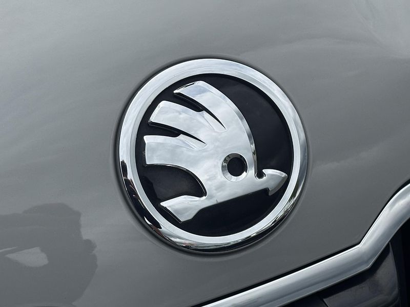 Škoda Karoq (2019) 1.5TSi DSG Style Virtual RZV - fotka 48 z 52