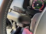 Škoda Karoq 2,0 TSi/140kW 4x4 DSG Sportlin - náhled 20