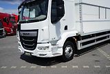DAF LF 260 / EURO 6 / ACC / IZOTERMA  - náhled 20