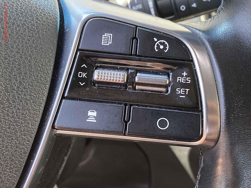 Kia Sorento (2018) 2.2 CRDi 4x4, Platinum, AT - fotka 16 z 22