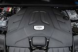 Porsche Cayenne S 2.9 V6 PLATINUM EDITION*DPH* - náhled 40