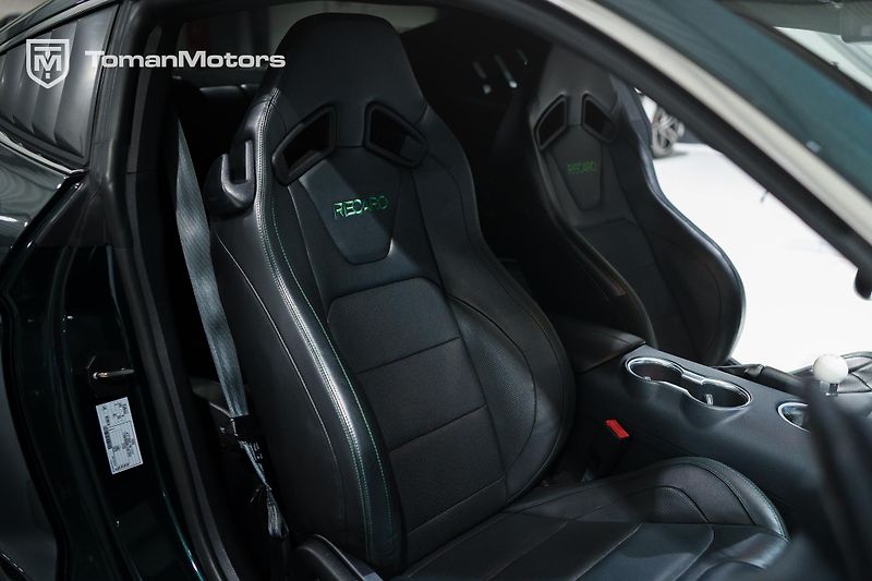 Ford Mustang (2019) Bullitt, Man, RECARO, DPH odpo - fotka 16 z 23