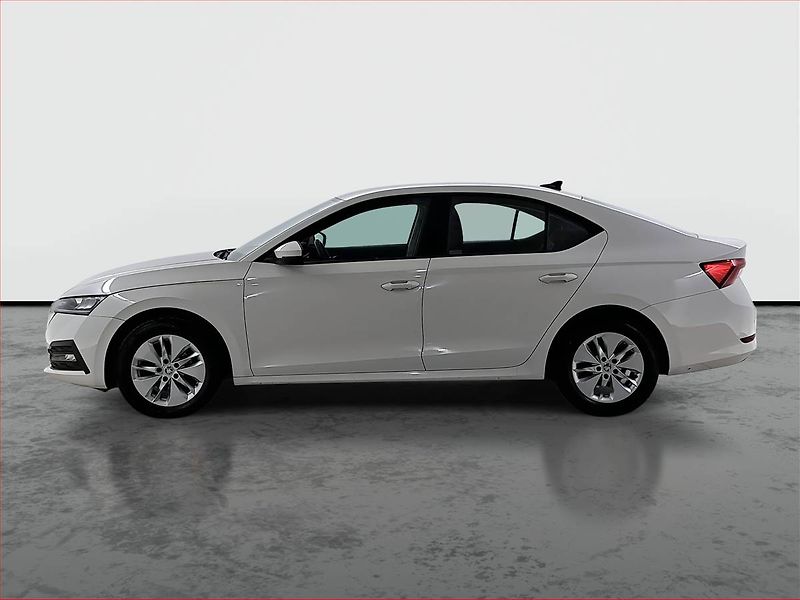 Škoda Octavia (2023) Ambition 2.0 TDI, ČR,1.maj - fotka 3 z 21