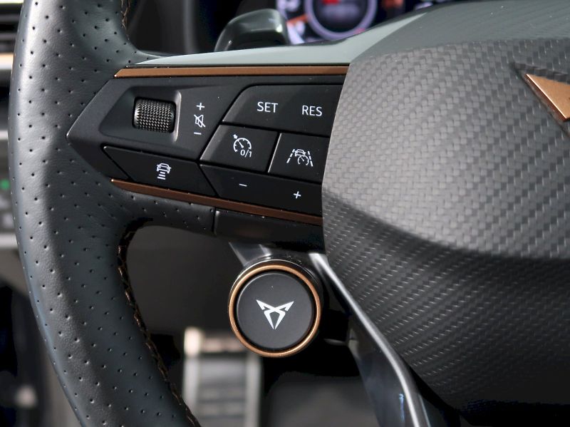 Cupra Formentor (2022) VZ 2.0TSI 228KW 4x4 DSG TAŽNÉ - fotka 22 z 46