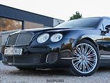 Bentley Continental Flying Spur (2010) Speed 6.0 Naim, Chladnička - náhled 23