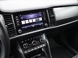 Škoda Kodiaq 2,0 TDI 110kW 4x4 DSG CZ - náhled 22