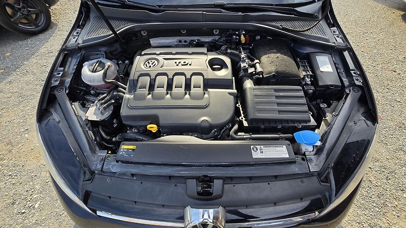 Volkswagen Golf 1.6TDI  DSG COMFORT 77KW - fotka 43 z 44