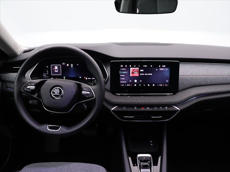 Škoda Octavia 2,0 TDI DSG Top Selection DPH - fotka 20 z 27