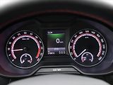 Škoda Octavia 2,0 TDI 135kW RS CZ Tažné - náhled 16