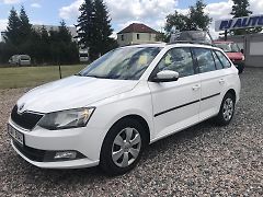 Škoda Fabia 1.4 TDI 66 KW,KLIMA TEMPOMAT.. - fotografie inzerátu