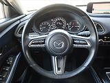 Mazda CX-30 (2020) Skyactiv-X 2.0 - náhled 16