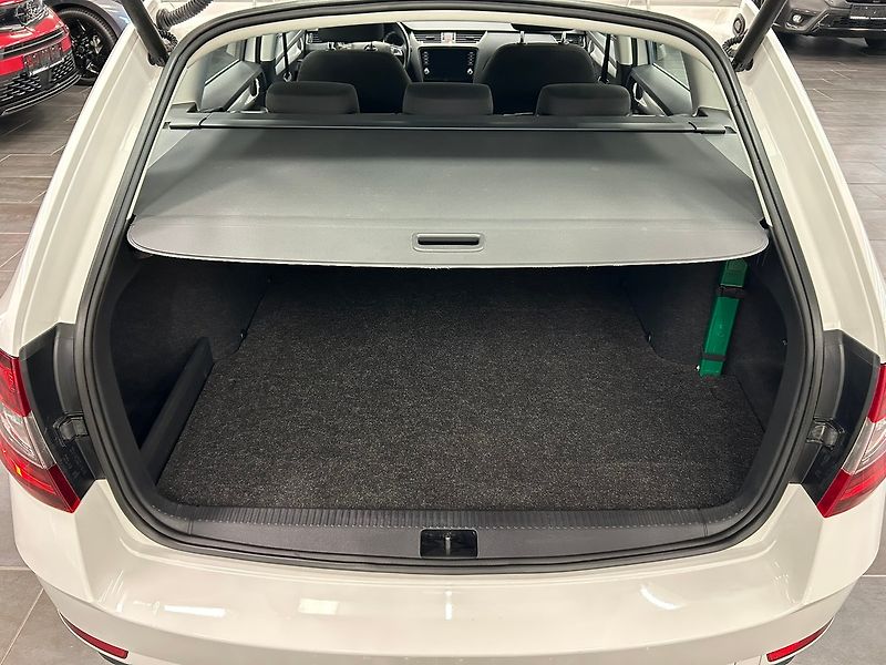 Škoda Octavia (2019) 1.5 CNG DSG Ambition 2019 | Zá - fotka 38 z 64