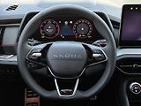 Škoda Kodiaq RS 265PS 2.0TSi 4x4 DSG Matrix - náhled 21