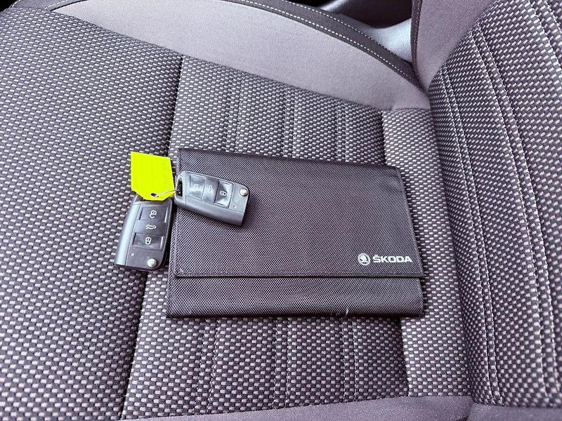 Škoda Octavia 2.0 TDi DSG 4x4 Scout, ČR - fotka 28 z 30