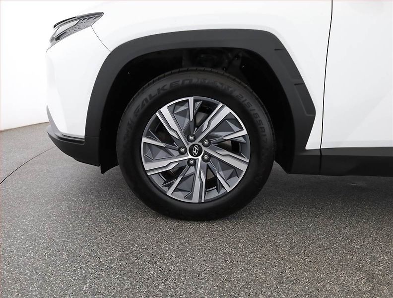 Hyundai Tucson (2021) 1.6 CRDi, ČR,1.maj, Serv.kniha - fotka 19 z 19