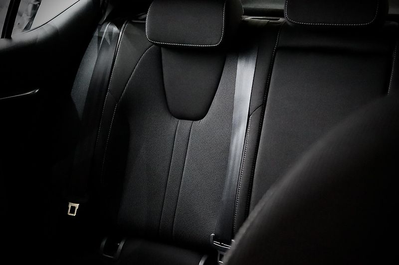Škoda Octavia 4 2.0 TDI 110 kW DSG - fotka 24 z 45