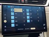 Jaguar F-Pace D300 R-DYNAMIC HSE AWD AUT CZ - náhled 41
