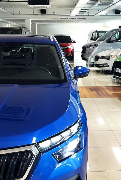 Škoda Kamiq 1.5 TSI, 110 kW, STYLE, DSG,ČR - fotka 25 z 30