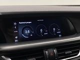 Alfa Romeo Stelvio VELOCE 2.2JTDm Q4 AUT - náhled 49