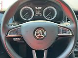 Škoda Kodiaq (2019) 2.0 TDi, DSG, STK5/28 - náhled 13