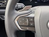 Lexus NX 350h 2.5HEV, ČR, ExecutiveTOP, 4x4 - náhled 21