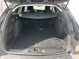 Opel Astra (2023) 1.2T, Elegance, LED, kamera - náhled 7